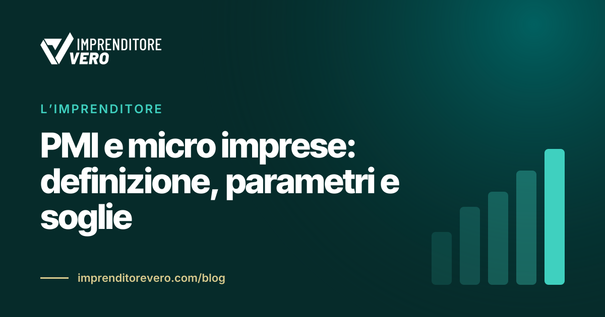 PMI e micro imprese: definizione, parametri e soglie